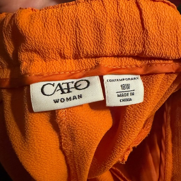 Cato - Picture 3 of 4